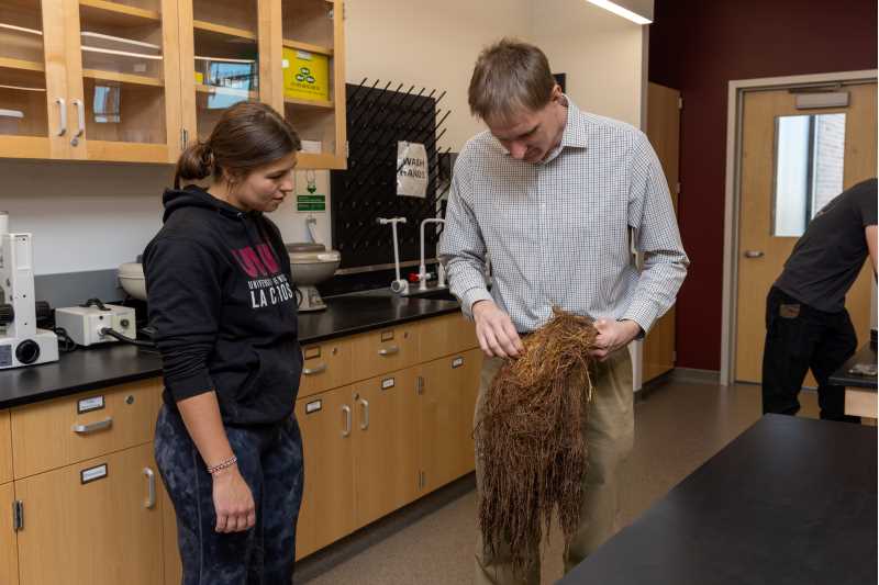 Students in Adam Schneider's plant taxonomy course tackled a real-world challenge by identifying a plant species for the City of La Crosse.