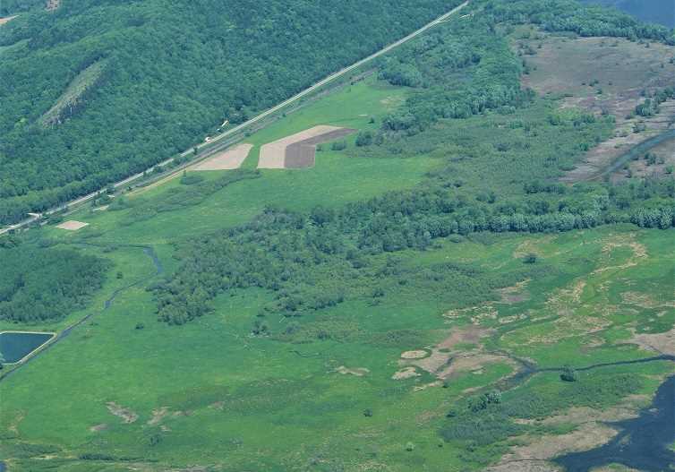 Wetland aerial view