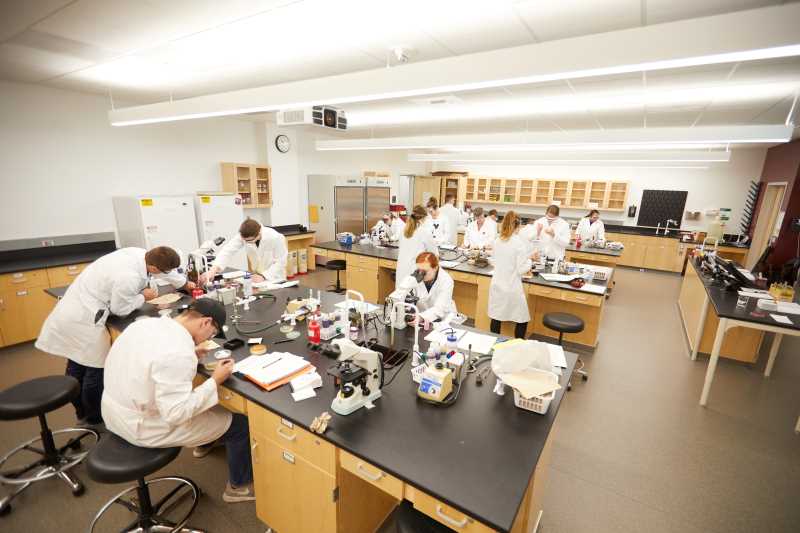 Microbiology graduate students working in a lab.