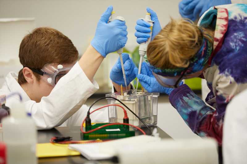 Students working in a Microbiology lab.