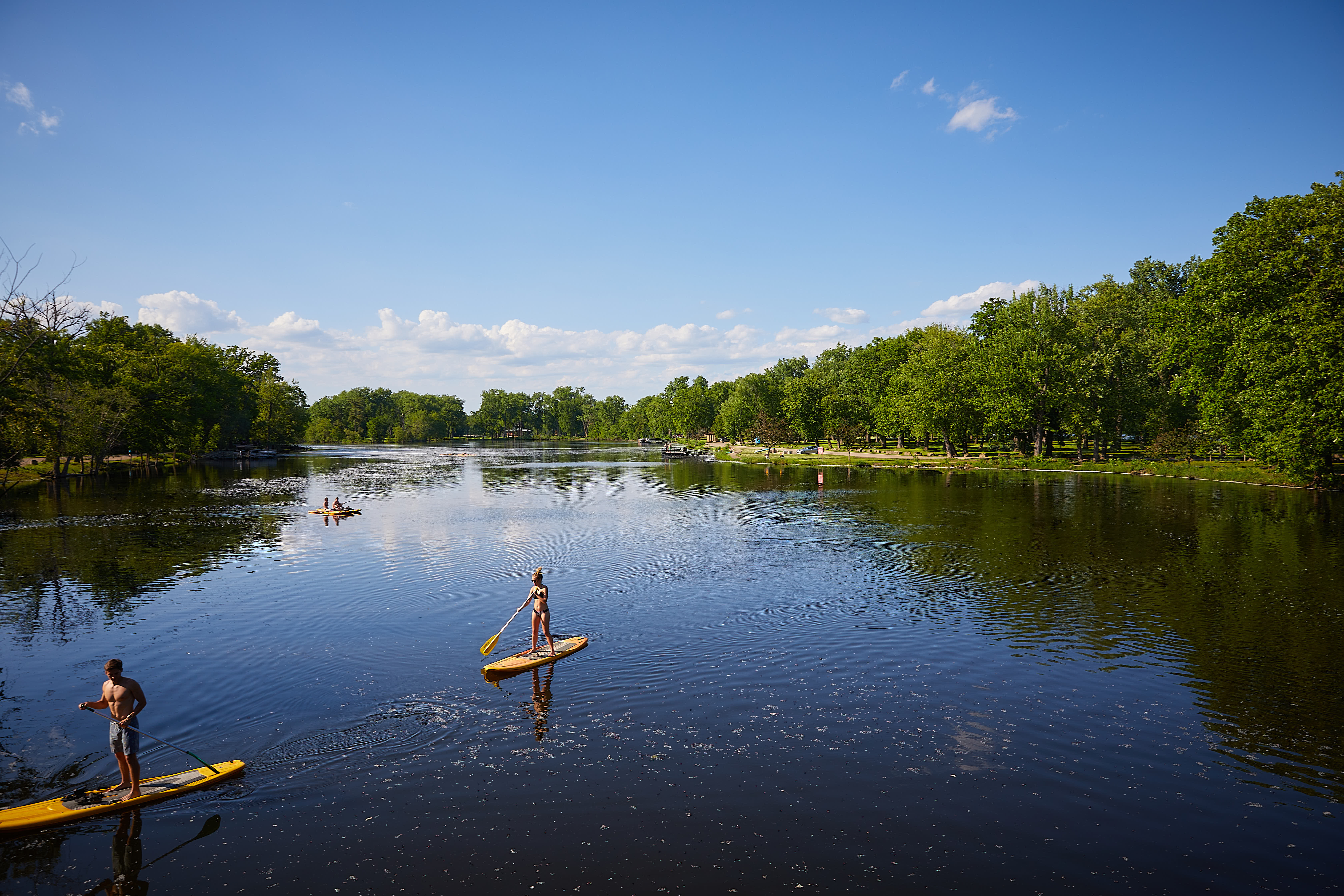 Paddleboarders on Mississippi backwaters