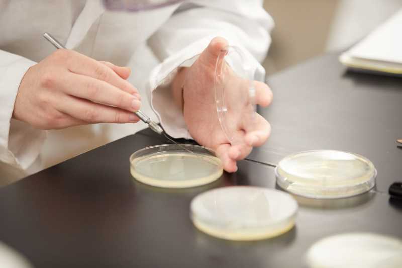 Visit the Microbiology program page