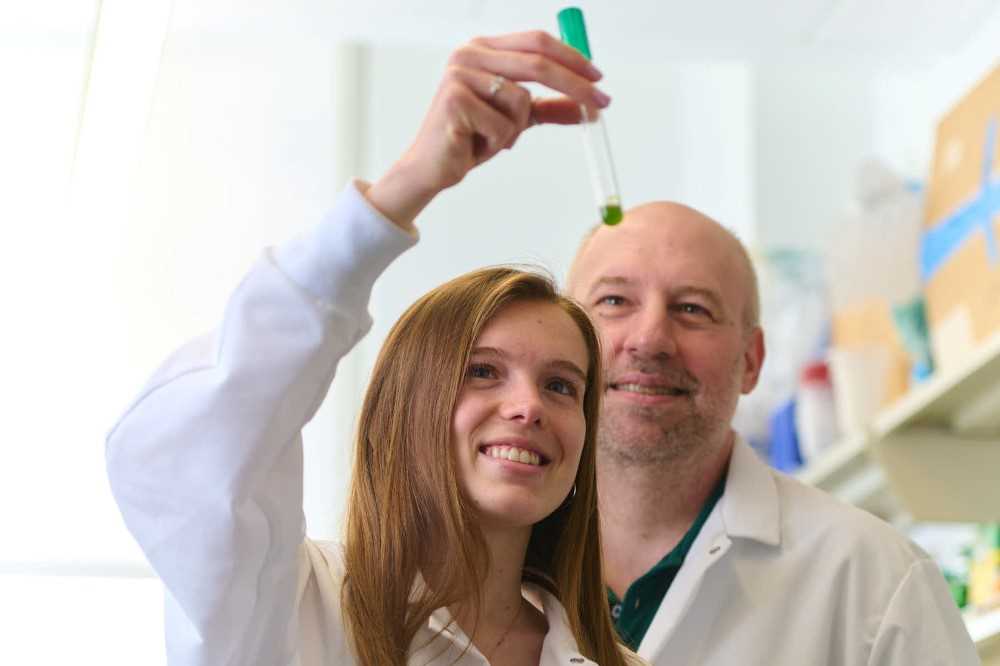 Our students learn and conduct research alongside faculty who care about their future and fuel their intellectual curiosity.  Nearly all of our students, 96 %, participate in at least one “high-impact” practice such as undergraduate research or service-learning projects.