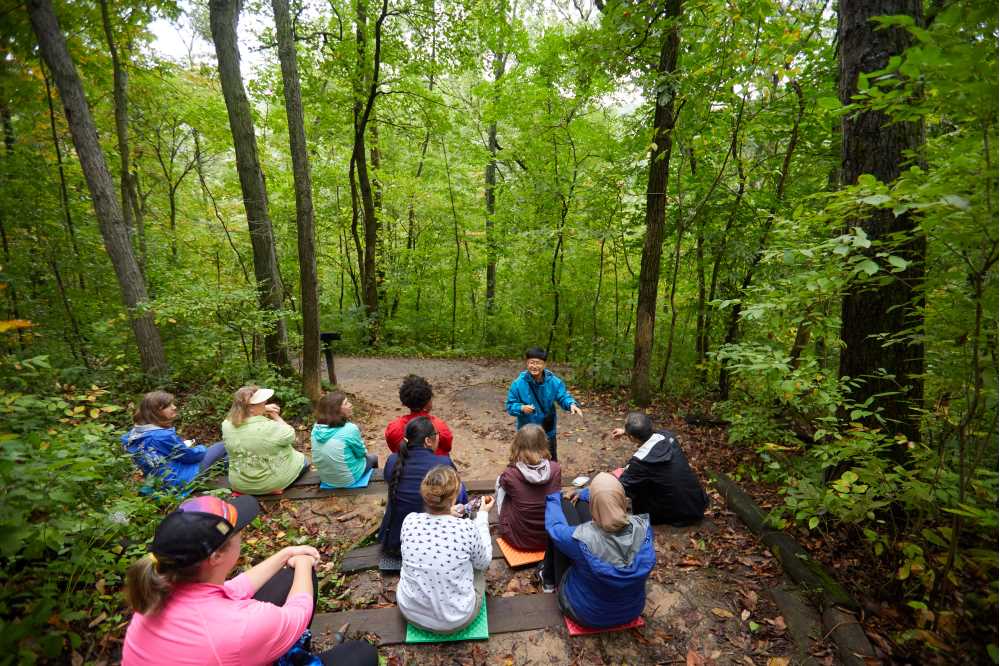 What is forest bathing? - Currents | UW-La Crosse