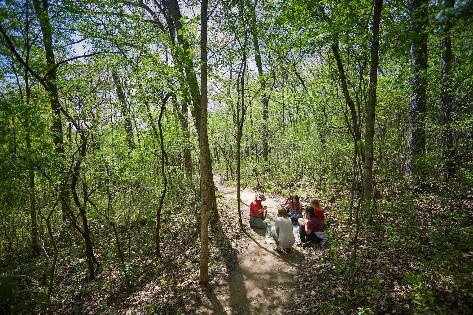 The science of forest bathing: 5 ways it can boost health and