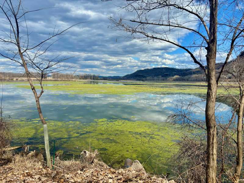 The La Crosse River Marsh at Myrick Park.