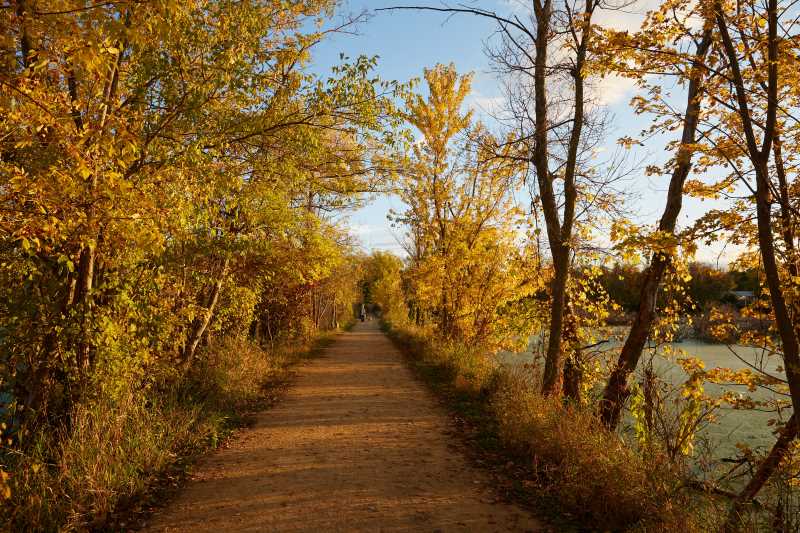 Marsh view in fall