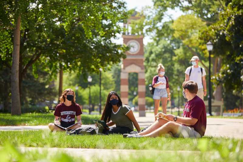 Students studying in summer