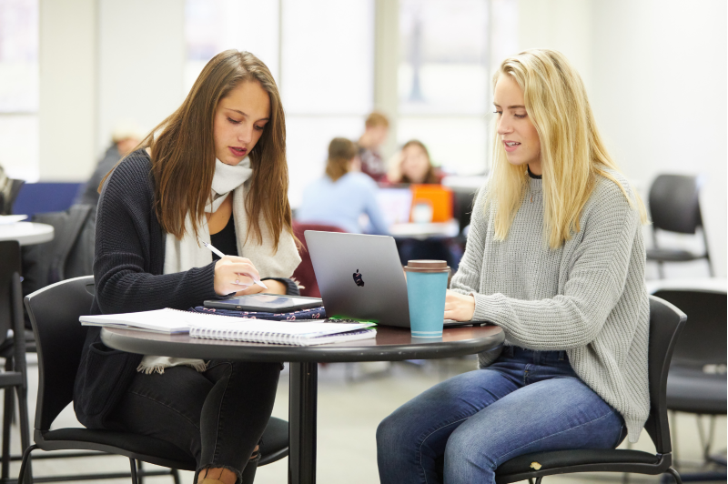 Students studying in Murphy Library