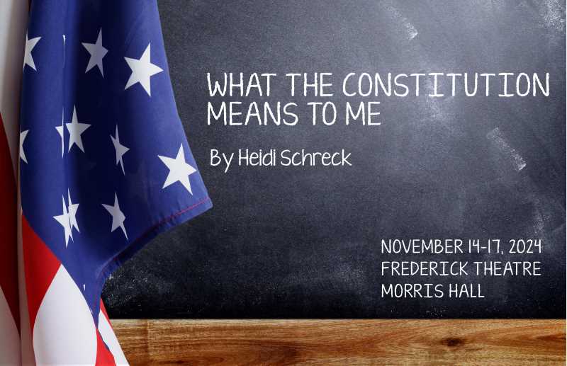 What the Constitution Means To Me poster