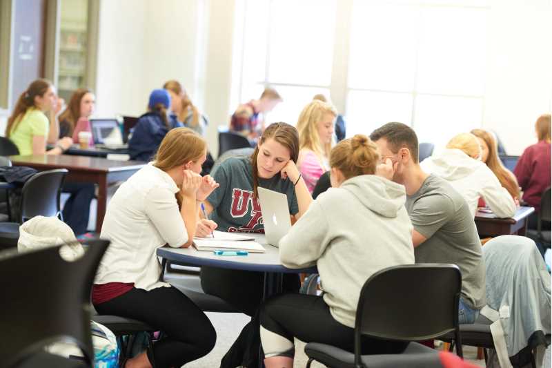 Students study in Murphy Library on the UW-La Crosse campus. The library offers many resources for information literacy.