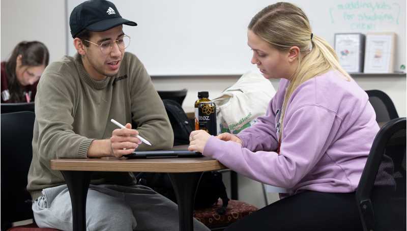 Students study at UWL's Tutoring and Learning Center, located in 251 Murphy Library.