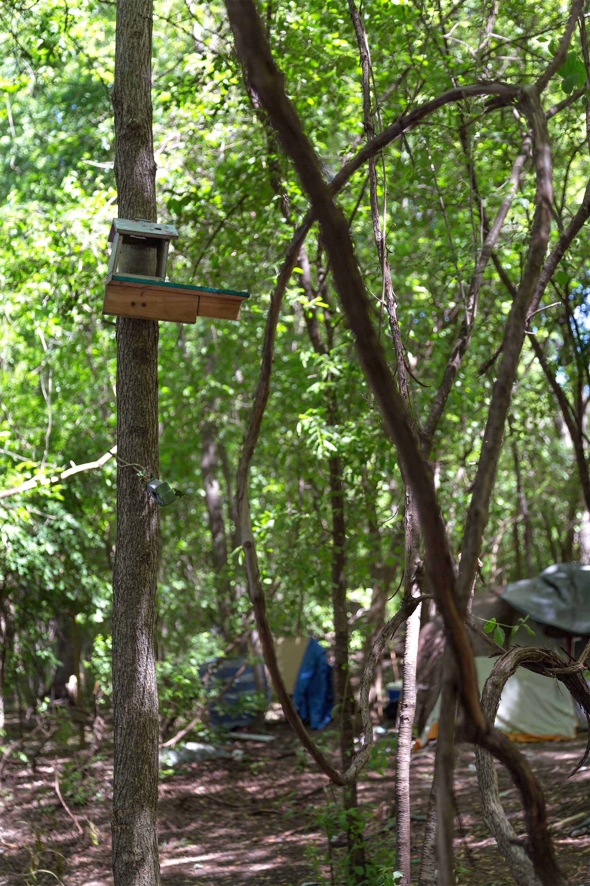 Image of an empty birdhouse in a wooded area. Behind it are several tents in Tent City.