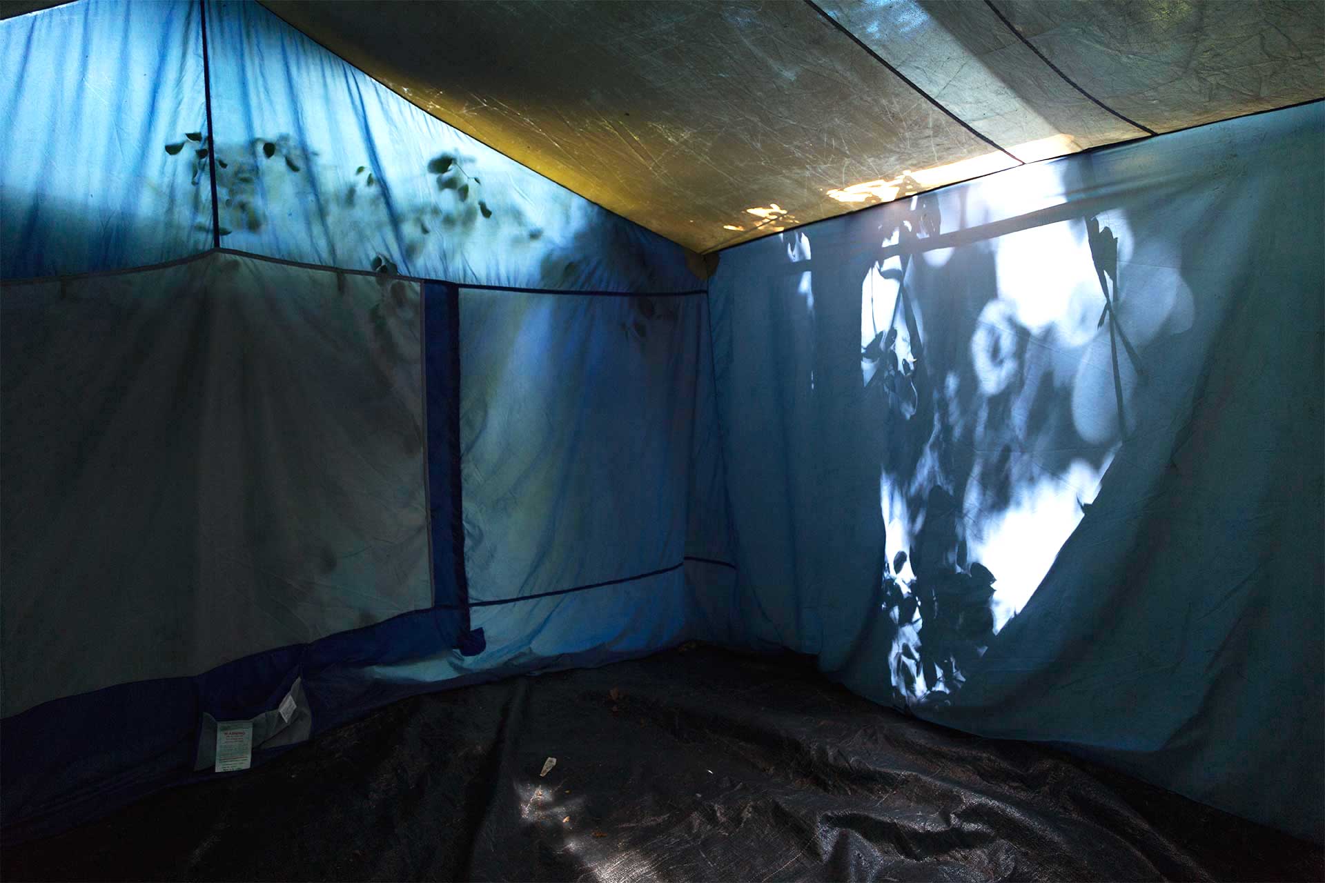 Image of the inside of a tent with the shadows of trees outside visible on the walls. 