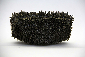 Black sunflower seed artwork. 