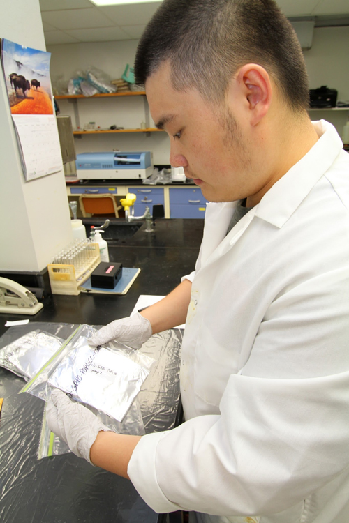 UW-L student Yang Liu working in lab