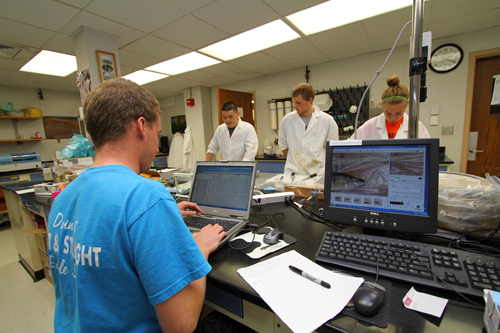 UW-L student Patrick Schulze enters fish measurements into the computer as UW-L students from left, Yang Liu, Greg Perrine and Laura Jacobson take measurements. 