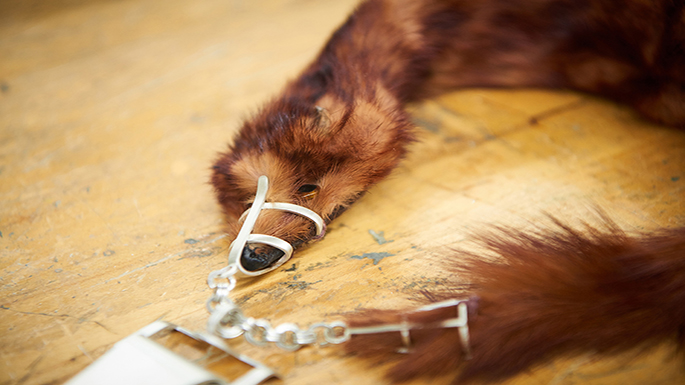 Brad Nichols, mink necklace at [art]ifact exhibit