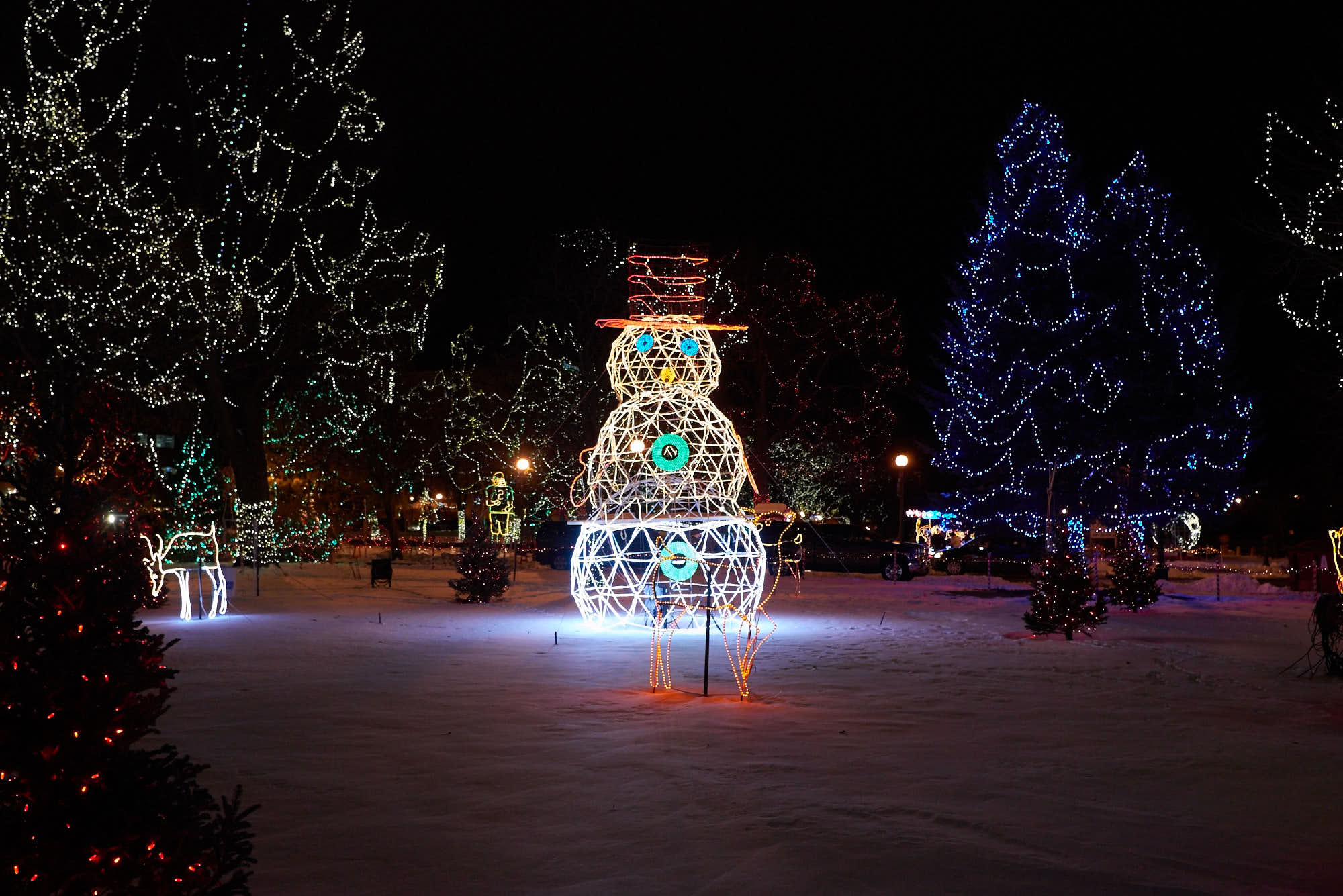 2016_uwl_holiday_rotary_lights_main_hall_011