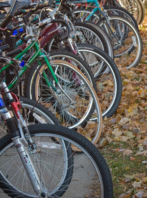 Bikes in fall. 