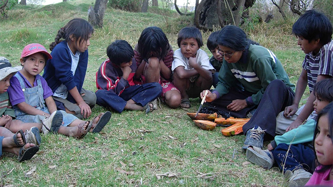 There are many organizations that work to help families and children learn marketable skills, illustrated in the photo showing Bolivian children learning higher-yield farming techniques at the Bolivian organization called the Pirwa ("silo" in Quechua). These techniques support and maintain valuable indigenous farming knowledge that has been lost because of increased rural to urban migration to work in the informal economy as day-laborers or for very low-pay work in factories.