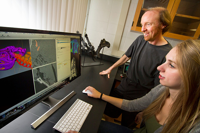 UW-L student Lauren Schultz  is working at a computer looking at dinosaur skull images with Eric Snively. 