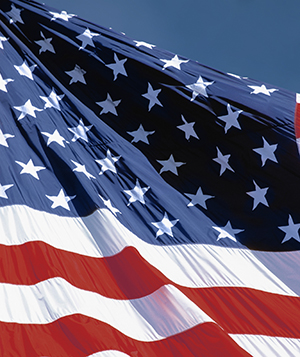 image of a portion of the American flag.