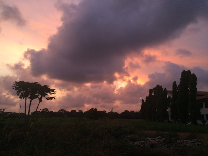 Image of pink sky with shadows of trees and dark purple clouds overhead.