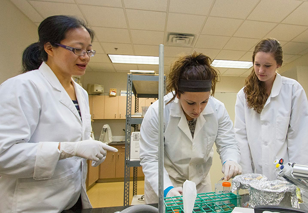 Image of Two students doing research while Sumei Liu looks on. 