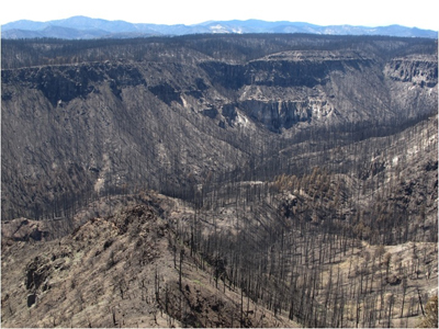The Jemez Mountains in northern New Mexico after the Las Conchas fire