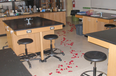 rose petals on the floor in room 331 Cowley Hall.