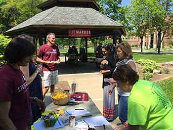 People at Gazebo. 