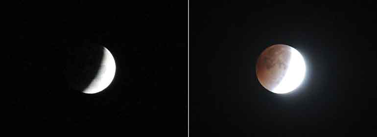 Photos of the lunar eclipse. 