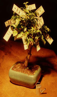 Tree with money.