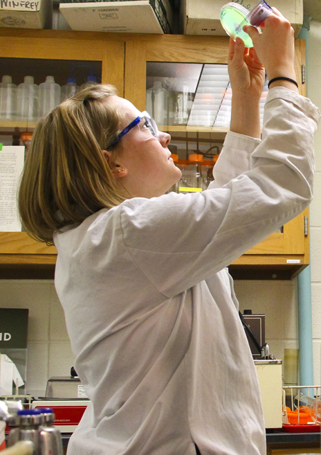 UW-L student Kristen Zimmerman holds a bacteria sample to the light, inspecting the results of her experiment.