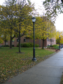 Lamposts on campus sidewalks.