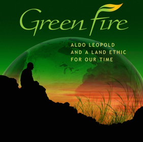 image from green fire