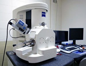 Scanning Electron Microscope