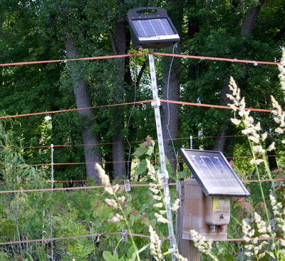 Electric fence generated with solar power. 