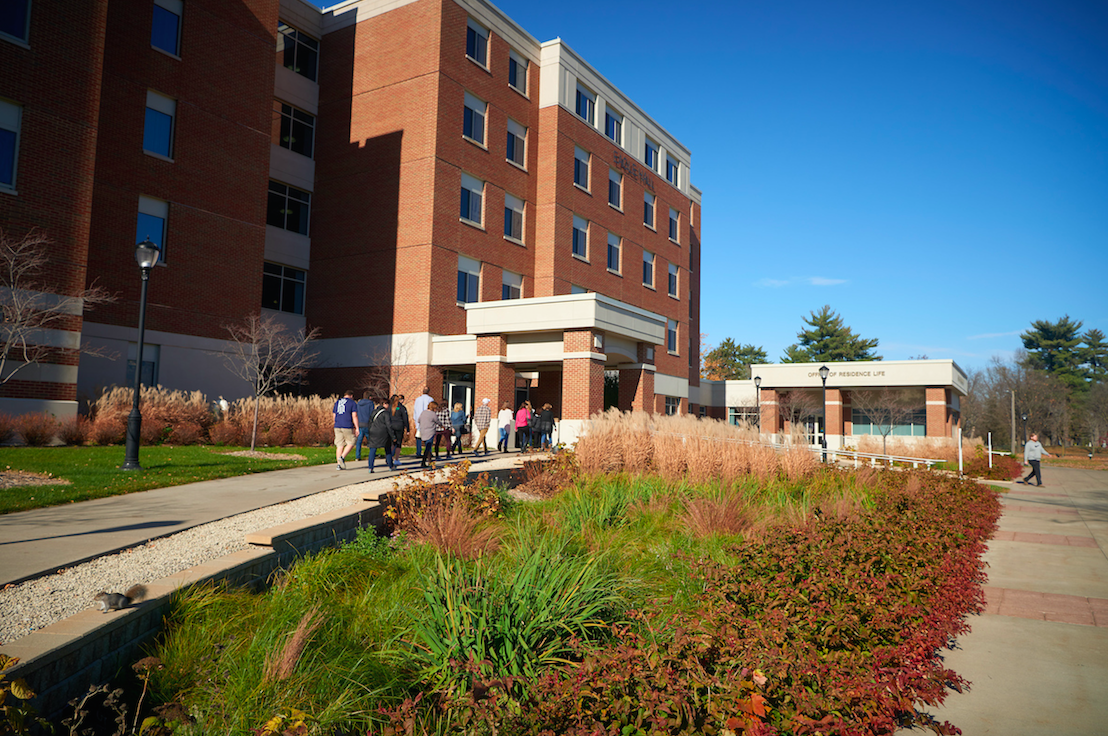 This rain garden outside of Eagle Hall is one of many across campus, which catch rain and snowmelt from roofs.