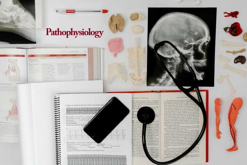 Pathophysiology and Differential Diagnosis is a course designed to empower students with a deep understanding of organ system pathophysiology and its relevance to physical therapy.