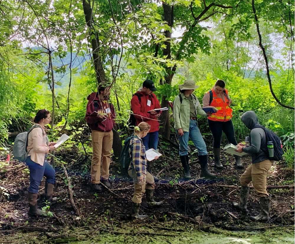 Wetland Delineation Workshop students in the field