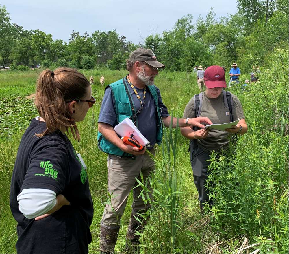 Instructor and students performing wetland plant identification