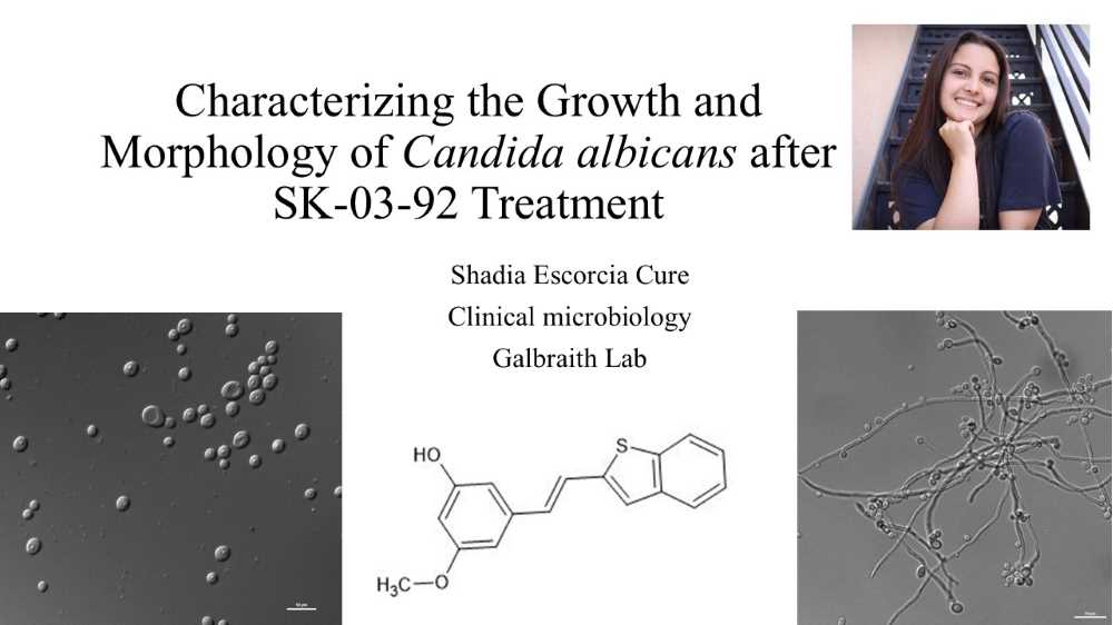 Characterizing the growth and morphology of Candida albicans after SK-03-92 treatment (click for abstract)