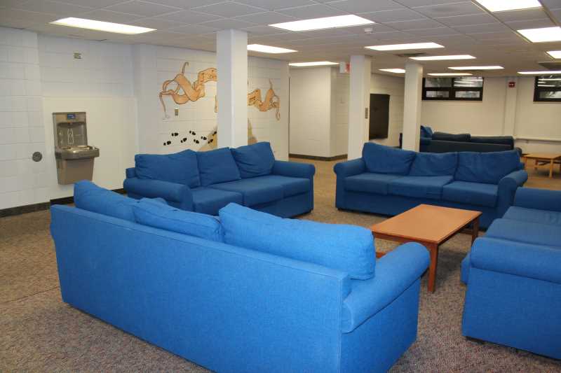 Drake basement 3.JPG