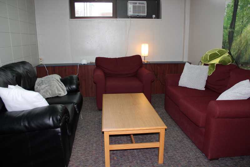 Drake basement 8.JPG