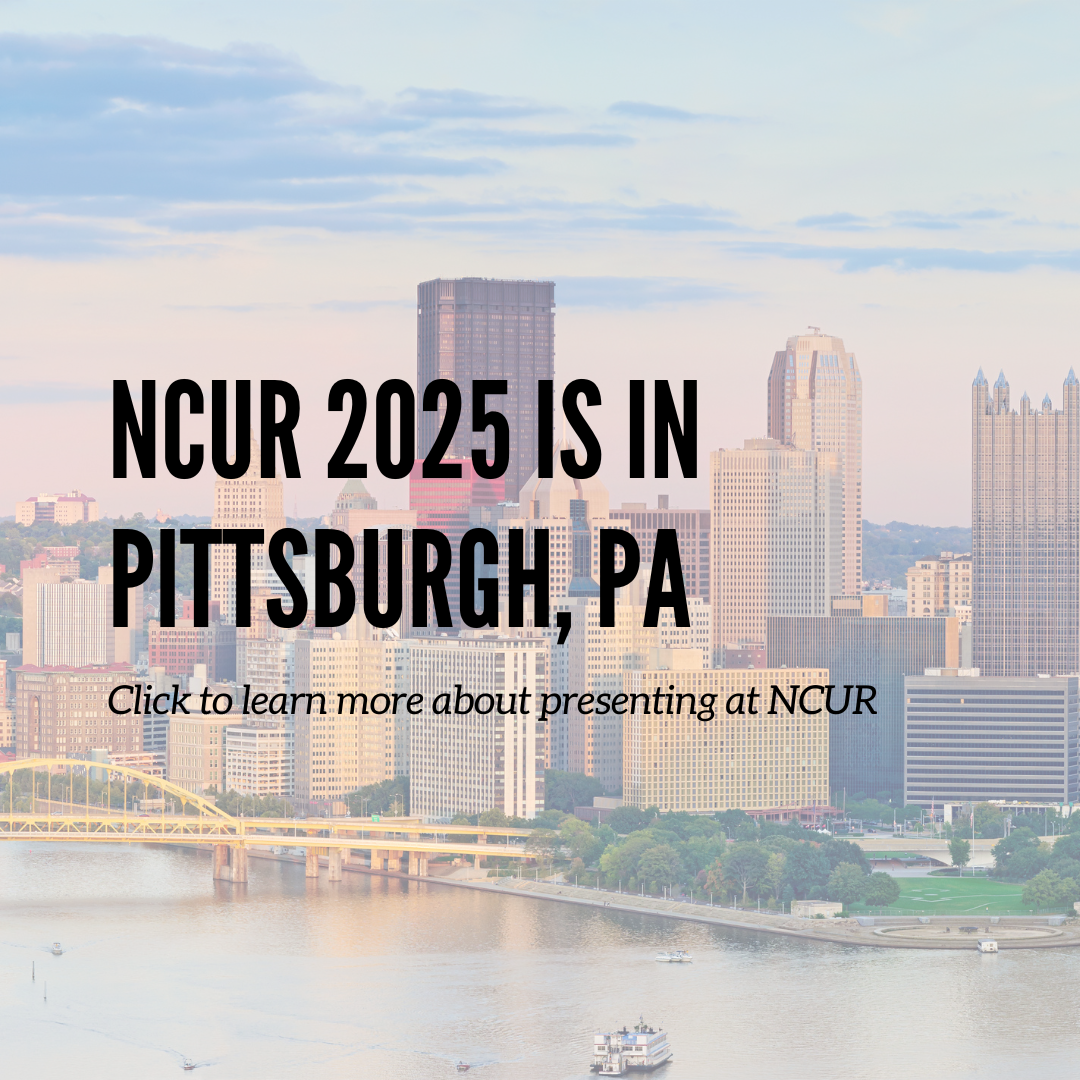 NCUR 2025